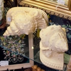 Conch shell bracket pair