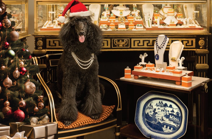 Cece the poodle with christmas gifts