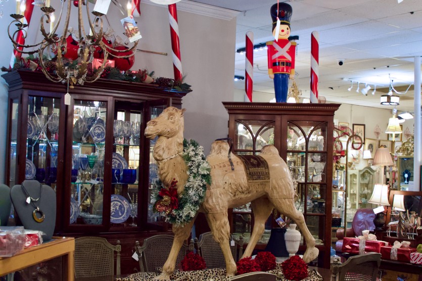 Christmas scene with camel